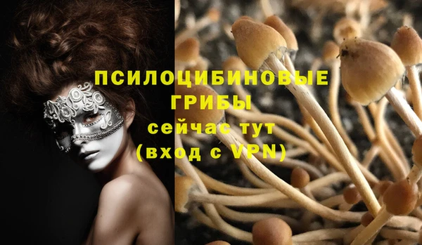 mix Белокуриха