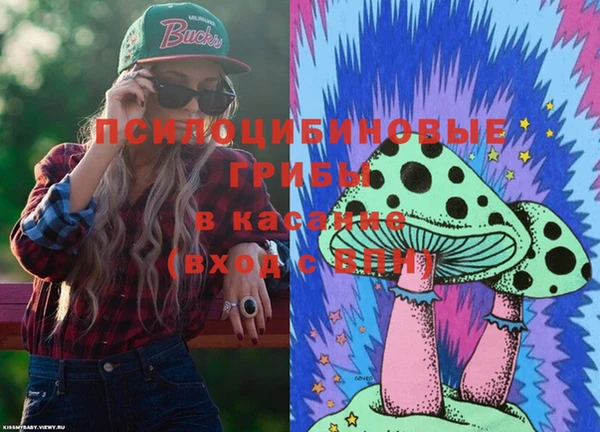mix Белокуриха